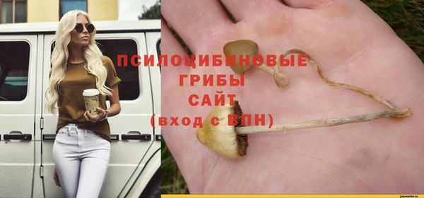 герыч Медвежьегорск