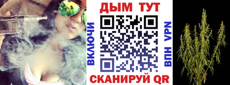 Каннабис сатива  hydra сайт  Аргун 